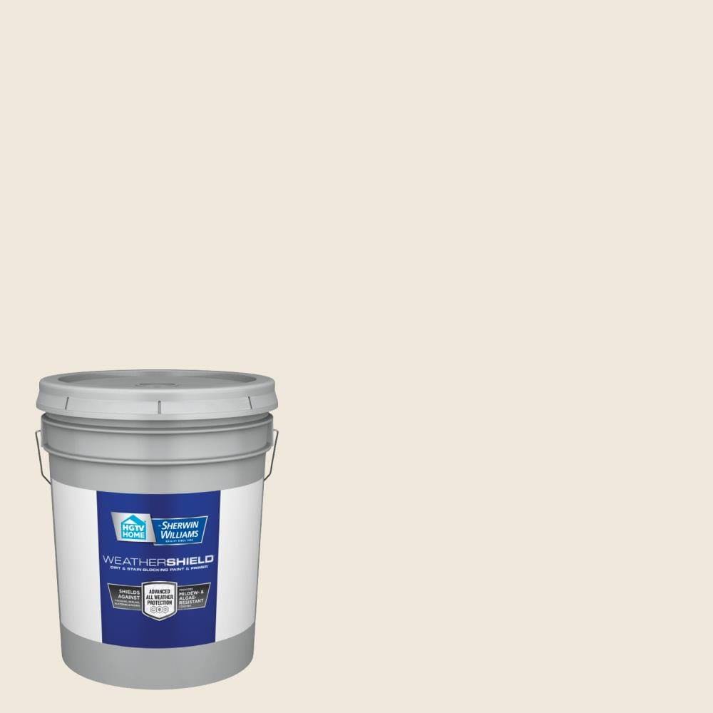 Exterior Paint (5-Gallon) A2573