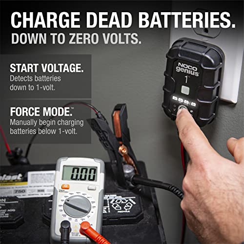 1A 6V and 12V Smart Car Battery Charger E445