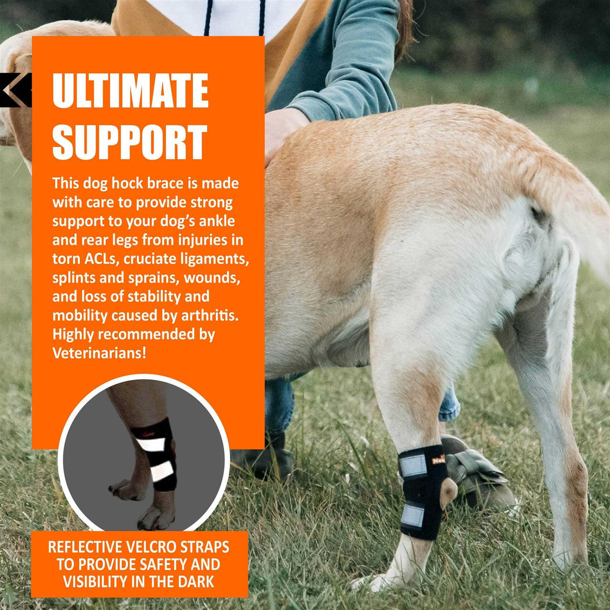 Dog Rear Leg Hock Ankle Support with Reflective Straps E140384