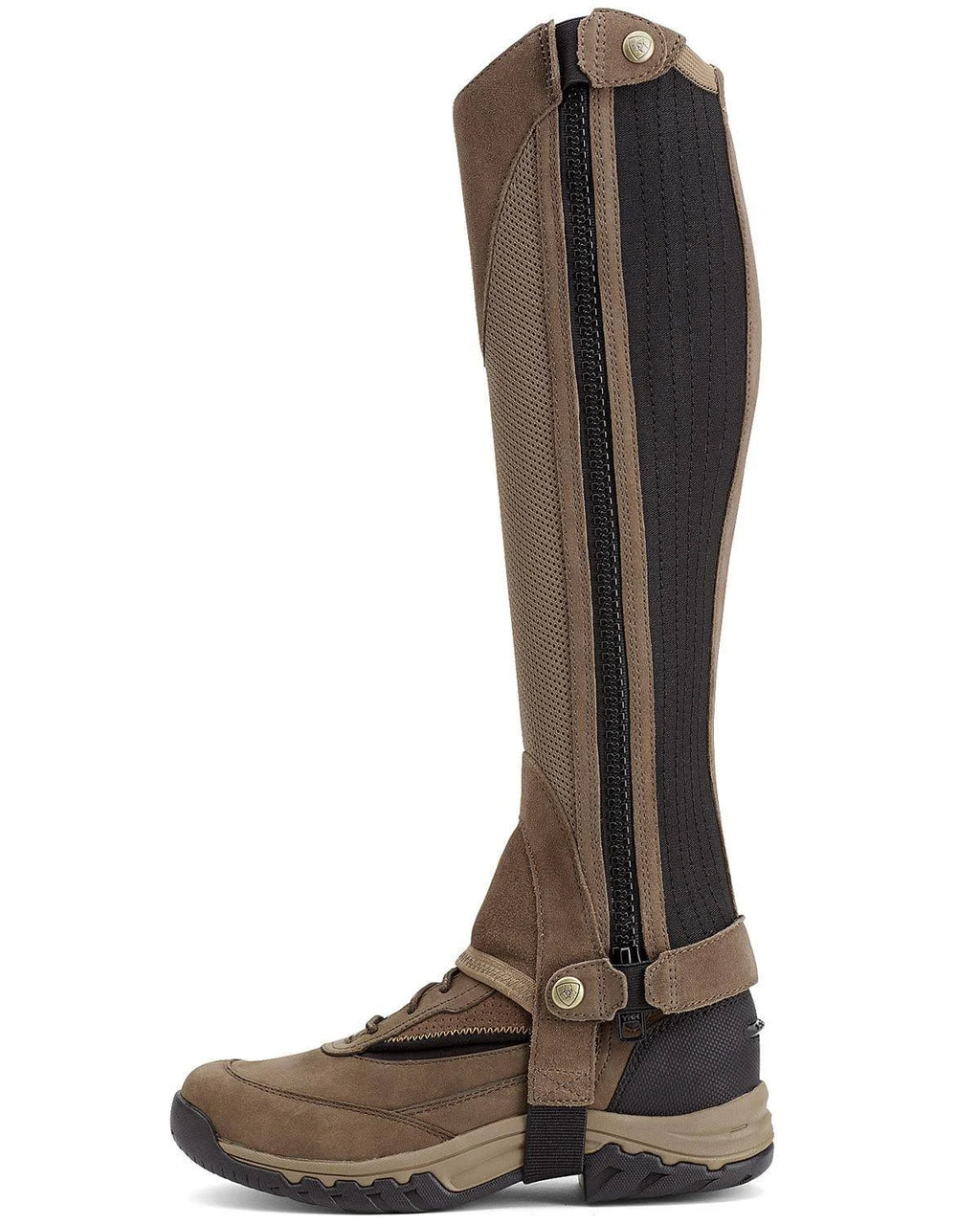 Brown Chap Half Y22160