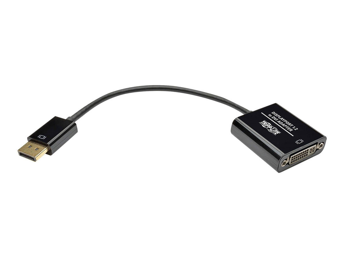 DisplayPort to DVI Adapter Converter 1080p 6in J8460