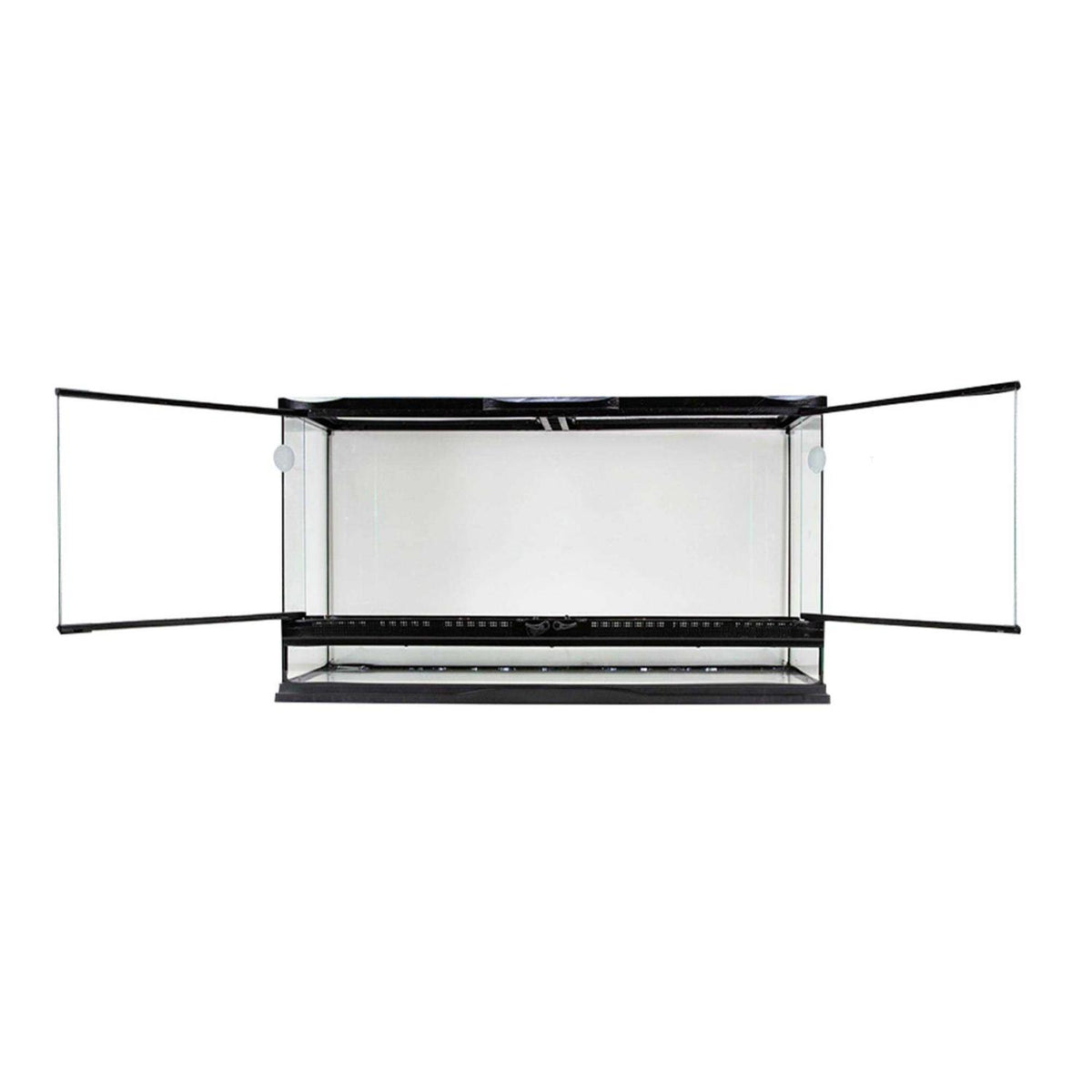 Naturalistic Terrarium Q947