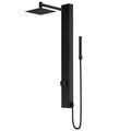 Matte Black 2-Jet Shower Panel System with Hand Shower Wand R495