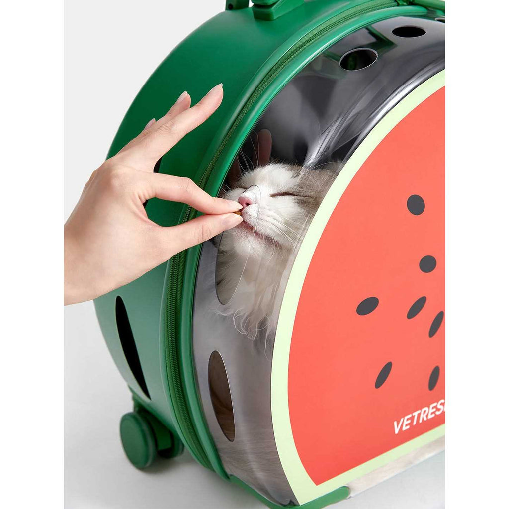Dog & Cat Carrier A83015