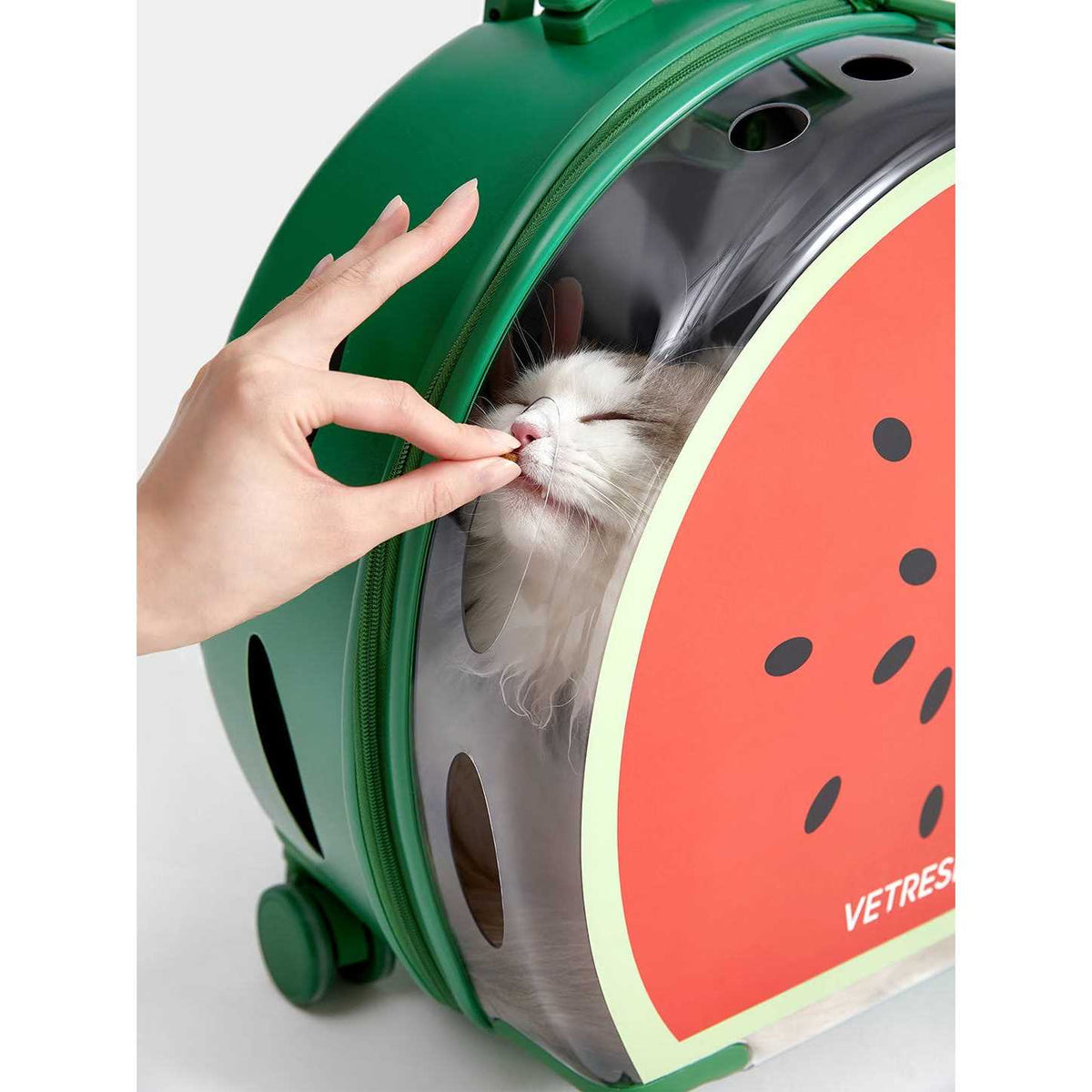 Dog & Cat Carrier A83015