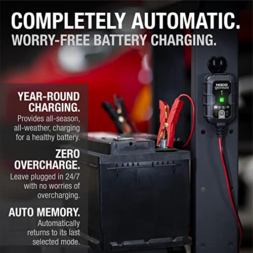 1A 6V and 12V Smart Car Battery Charger E445