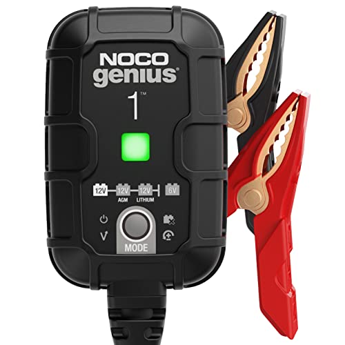 1A 6V and 12V Smart Car Battery Charger E445
