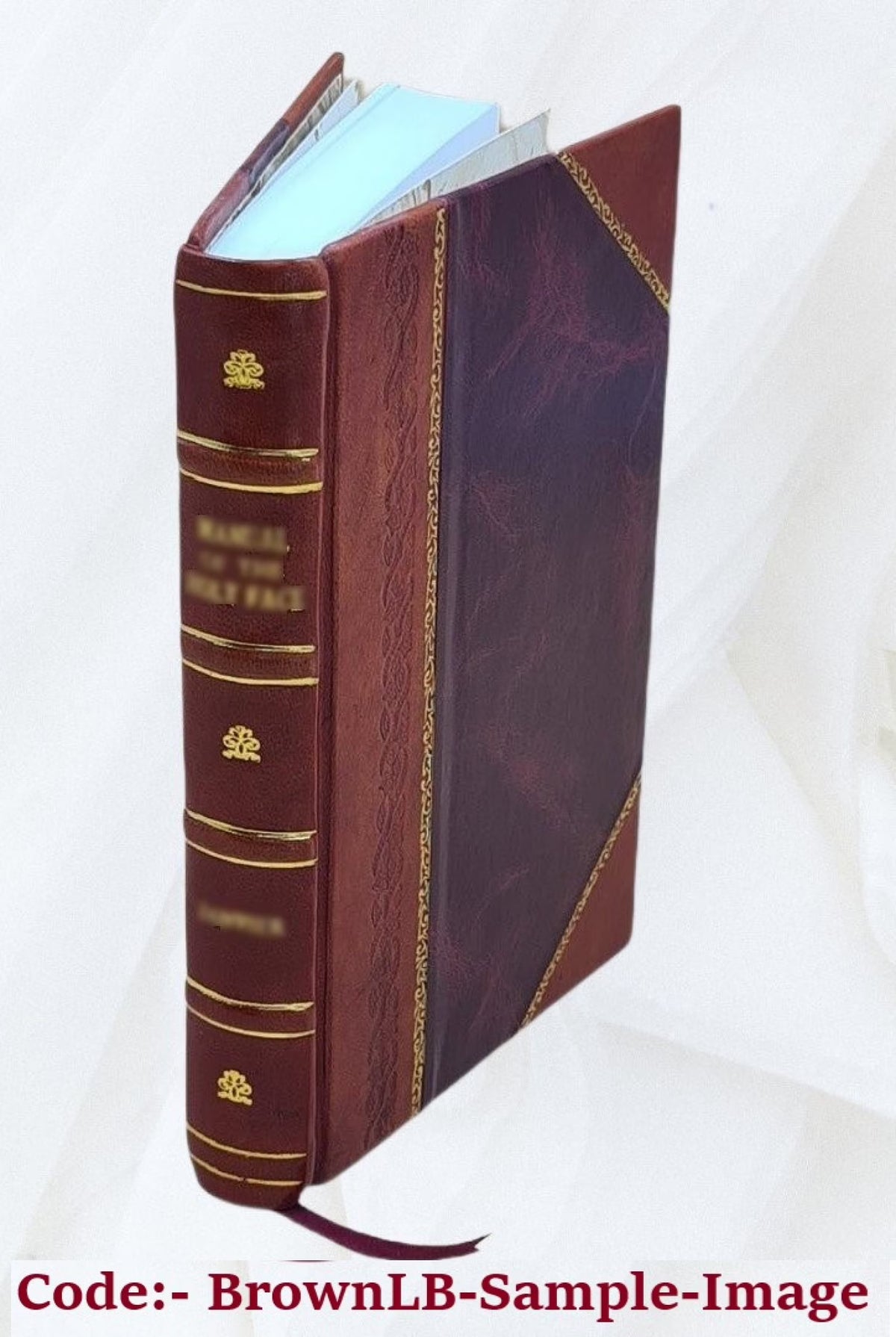 The Æneid of Virgil 1907 Leather Bound Y901